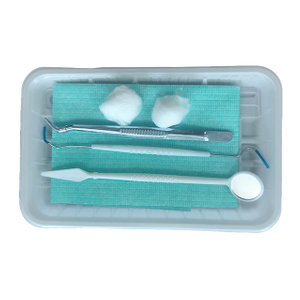 Dental Cleaning Kit Pink Green Blue